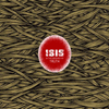 Isis - In The Absence Of Truth (Robotic Empire)