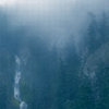 Wolves In The Throne Room - Diadem Of 12 Stars