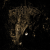 Wolves In The Throne Room - Diadem Of 12 Stars